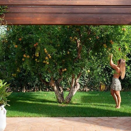 Spaziosa Villa Con Piscina E Giardino, Polignano A Mare Εξωτερικό φωτογραφία