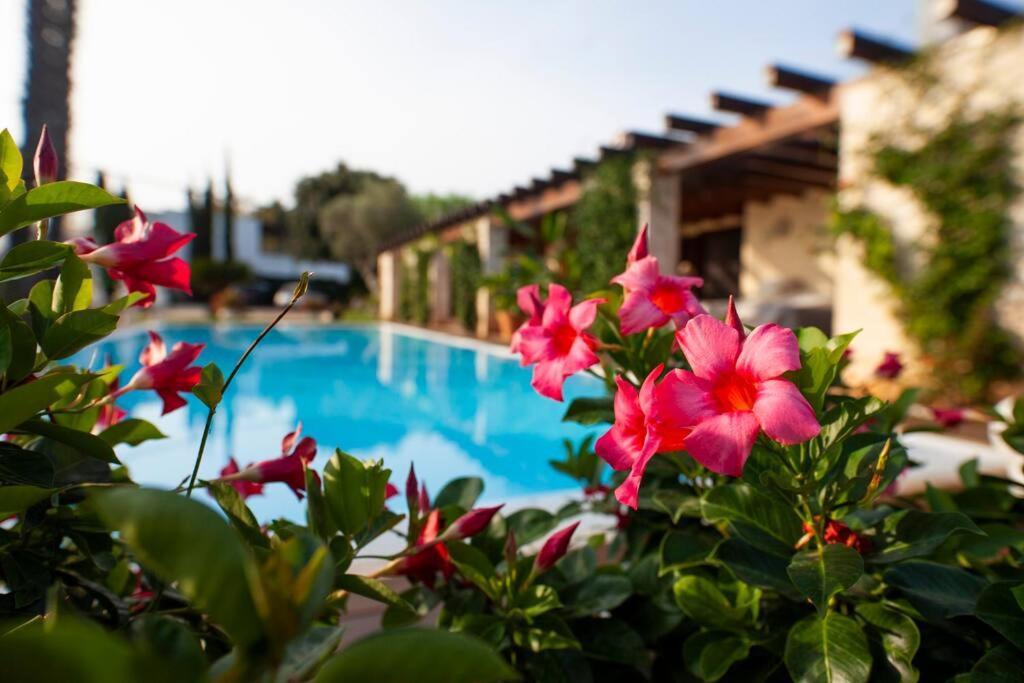 Spaziosa Villa Con Piscina E Giardino, Polignano A Mare Εξωτερικό φωτογραφία