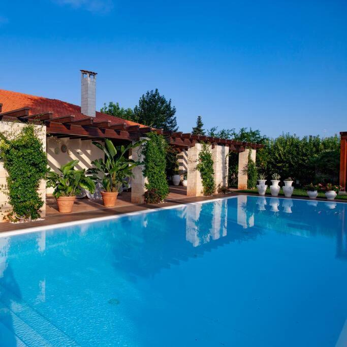 Spaziosa Villa Con Piscina E Giardino, Polignano A Mare Εξωτερικό φωτογραφία